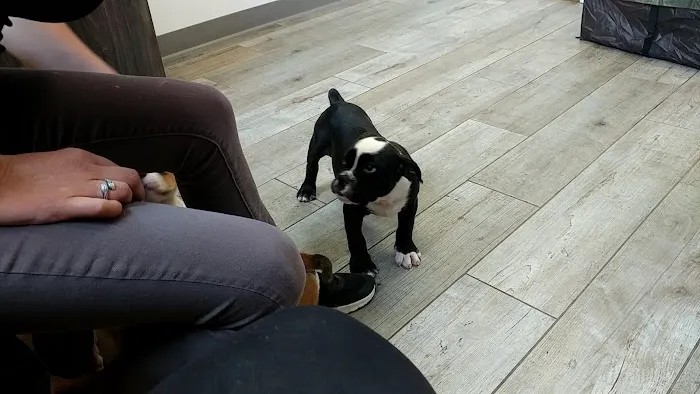 Rhea Pet Medical Center 8