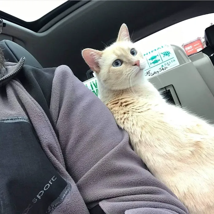 Rhea Pet Medical Center 3