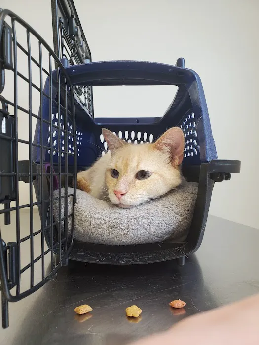Rhea Pet Medical Center 1