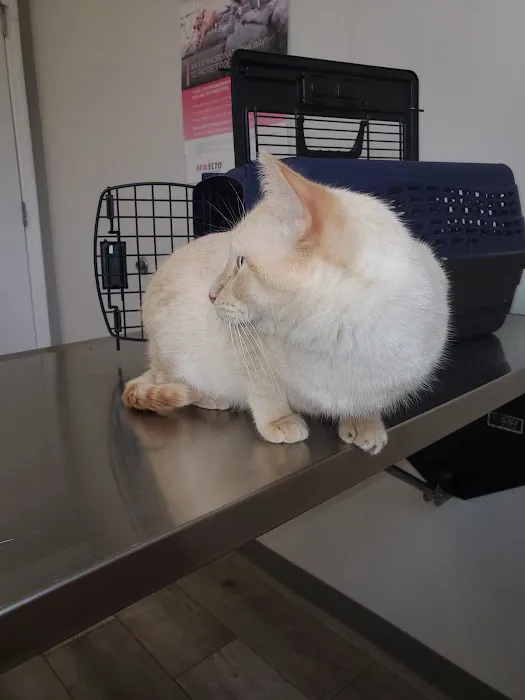 Rhea Pet Medical Center 2