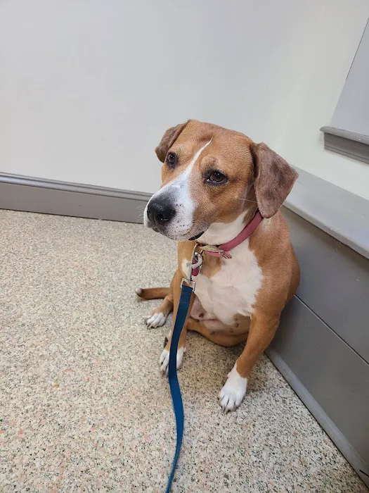 Sweetwater Veterinary Hospital 4