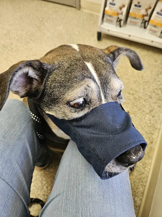 Sweetwater Veterinary Hospital 3
