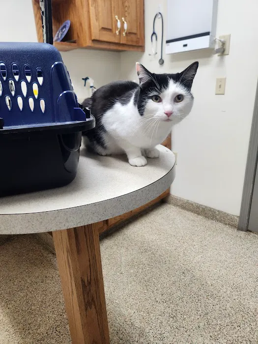 Sweetwater Veterinary Hospital 1