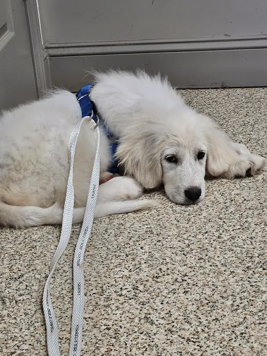 Sweetwater Veterinary Hospital 2