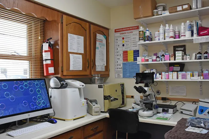 The Animal Hospital of Adel 10