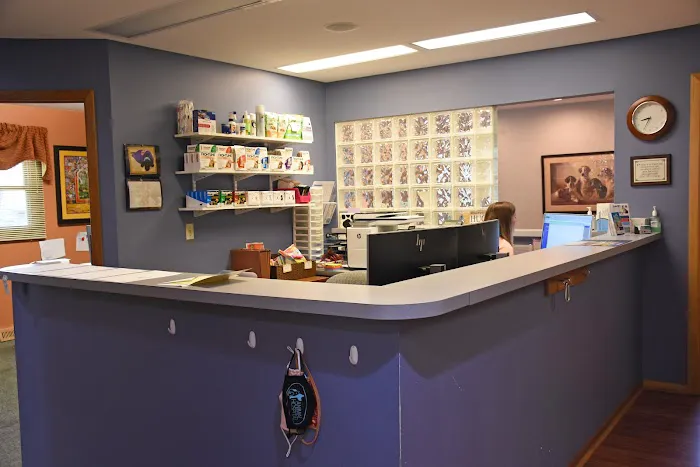 The Animal Hospital of Adel 3