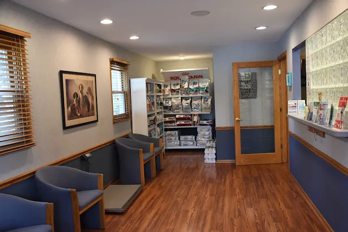 The Animal Hospital of Adel 4