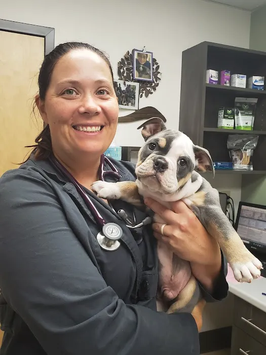 Adel Veterinary Clinic 5