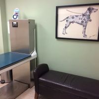 Adel Veterinary Clinic ico