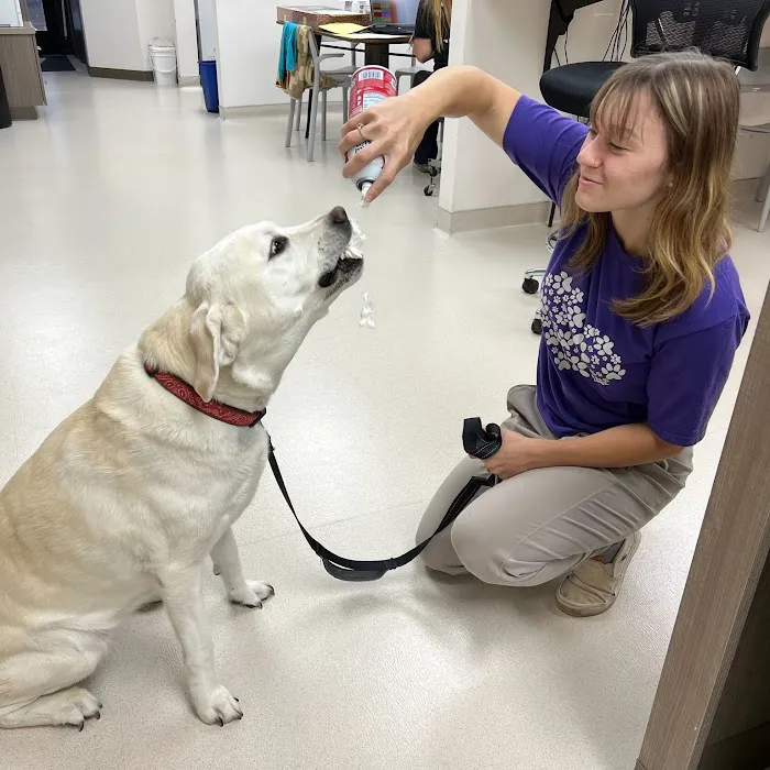 Adel Veterinary Clinic 7