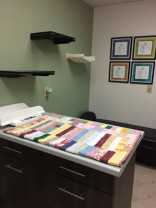 Adel Veterinary Clinic 2