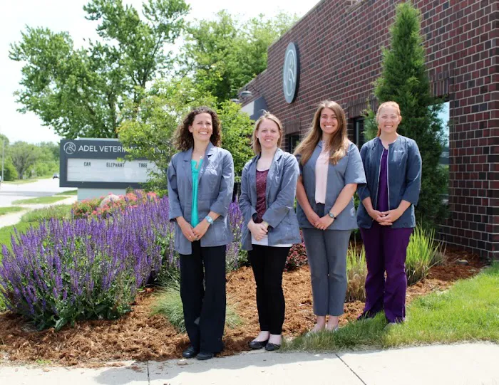 Adel Veterinary Clinic 9