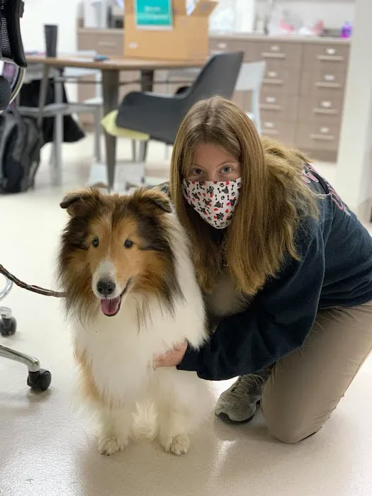 Adel Veterinary Clinic 6