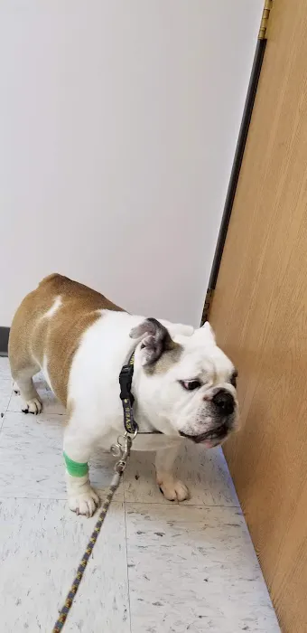 Broderick Animal Clinic 1