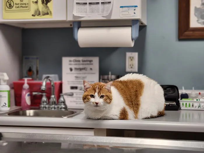 Broderick Animal Clinic 5