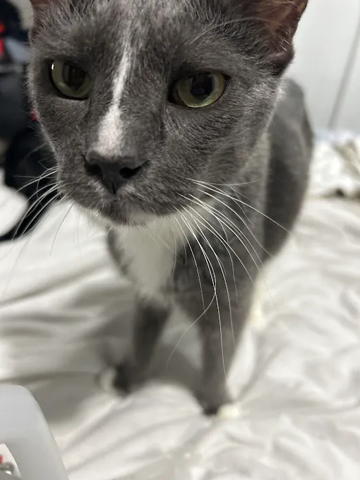 Vetco Total Care Animal Hospital 4