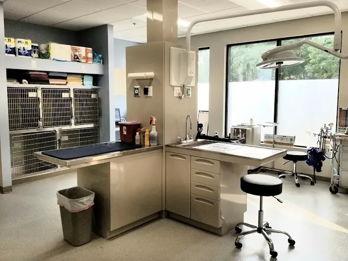 Ashworth Road Animal Hospital 6
