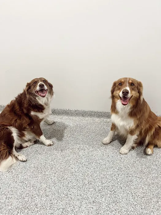 Animal Health Center of Centerville 7