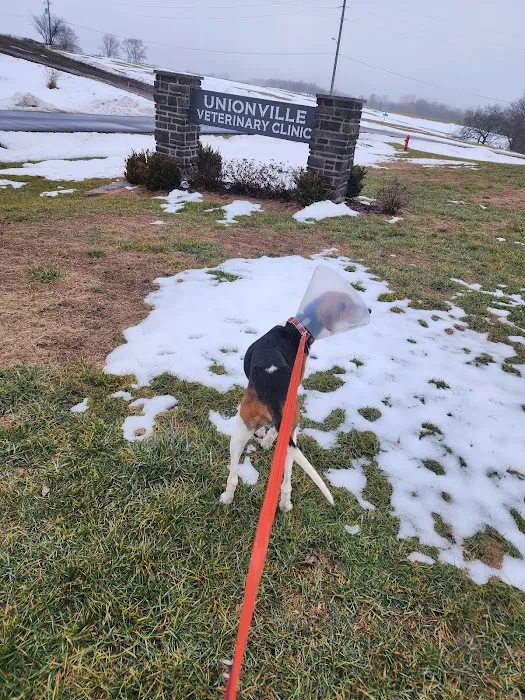 Unionville Veterinary Clinic 8