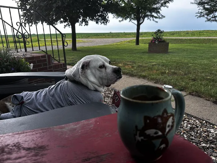 Waukee-Clive Veterinary Clinic 10