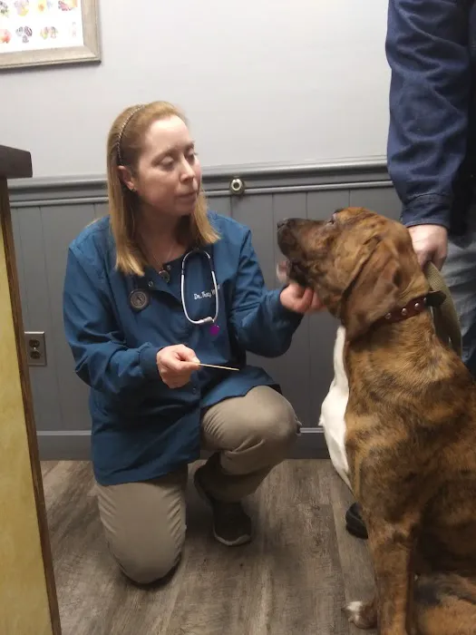 Chester Veterinary Services, LLC 5