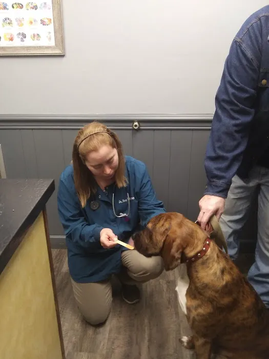 Chester Veterinary Services, LLC 6