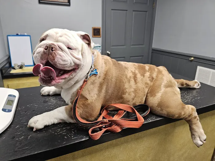 Chester Veterinary Services, LLC 2