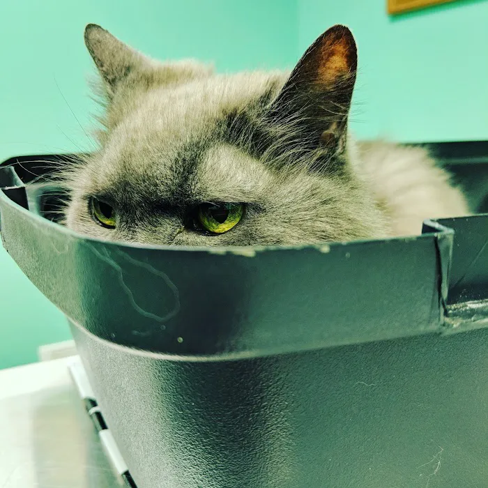 Brady's Run Veterinary Hospital 10
