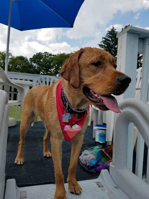 Brady's Run Veterinary Hospital 8