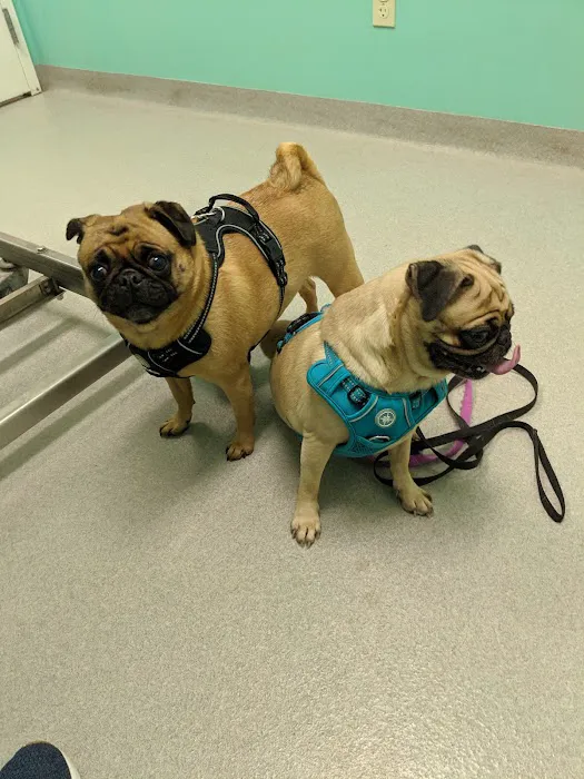 Brady's Run Veterinary Hospital 2