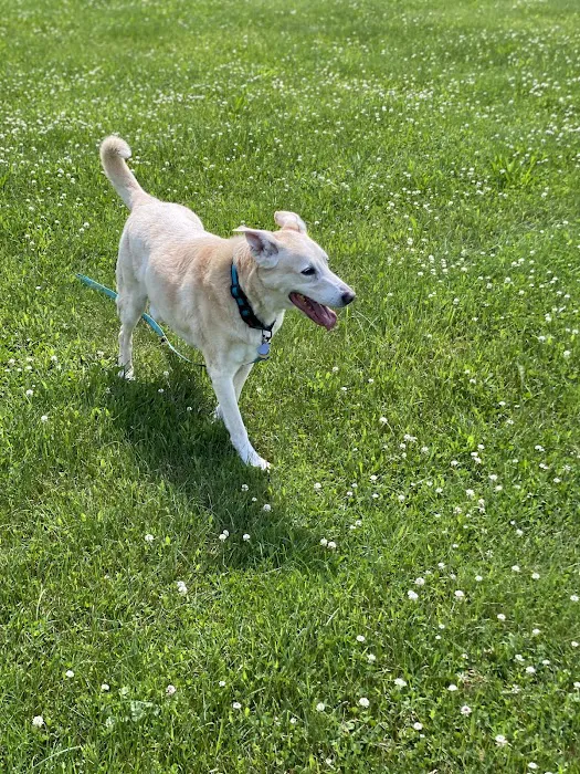Brady's Run Veterinary Hospital 3
