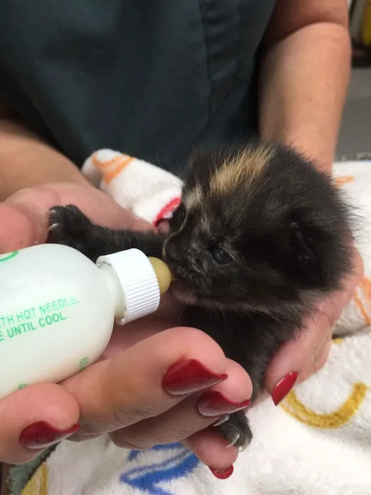 Brady's Run Veterinary Hospital 6