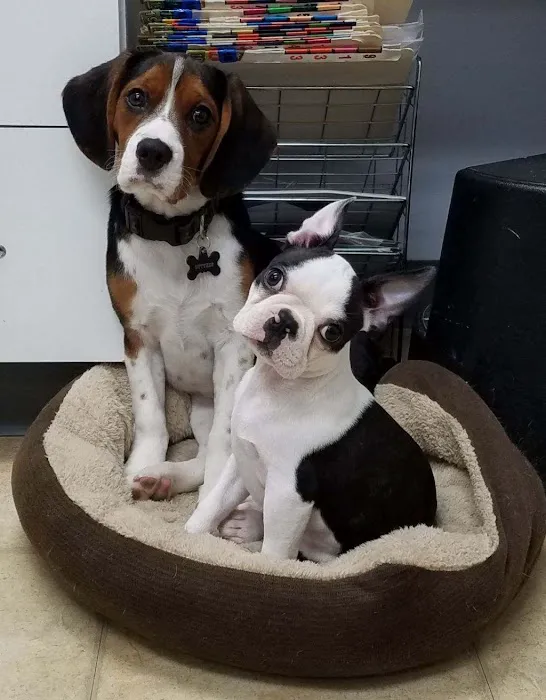 Brady's Run Veterinary Hospital 7