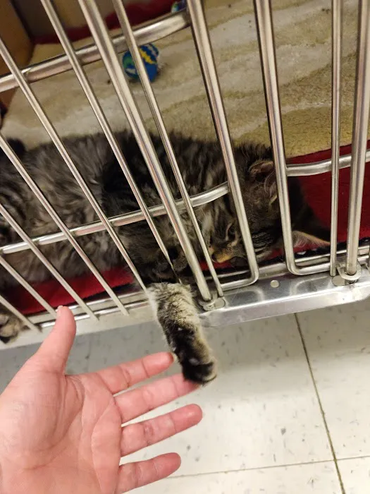 Banfield Pet Hospital 4