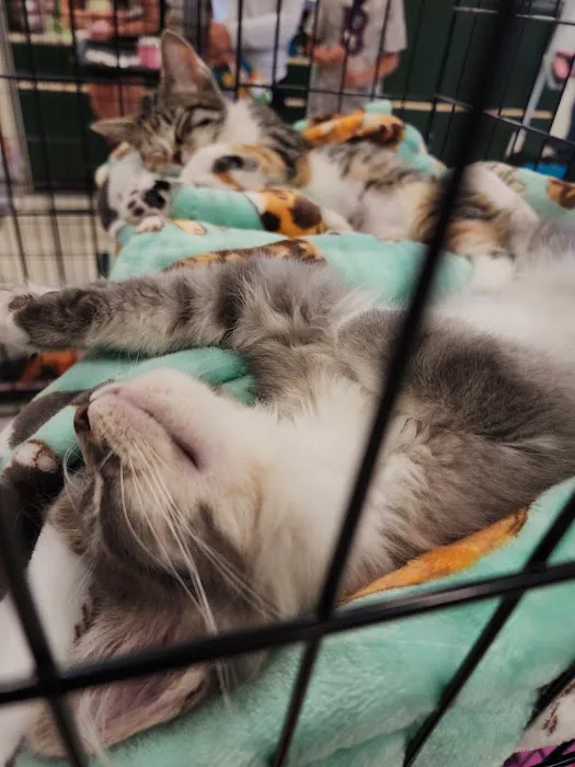Banfield Pet Hospital 2