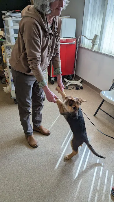Toronto Veterinary Services 2