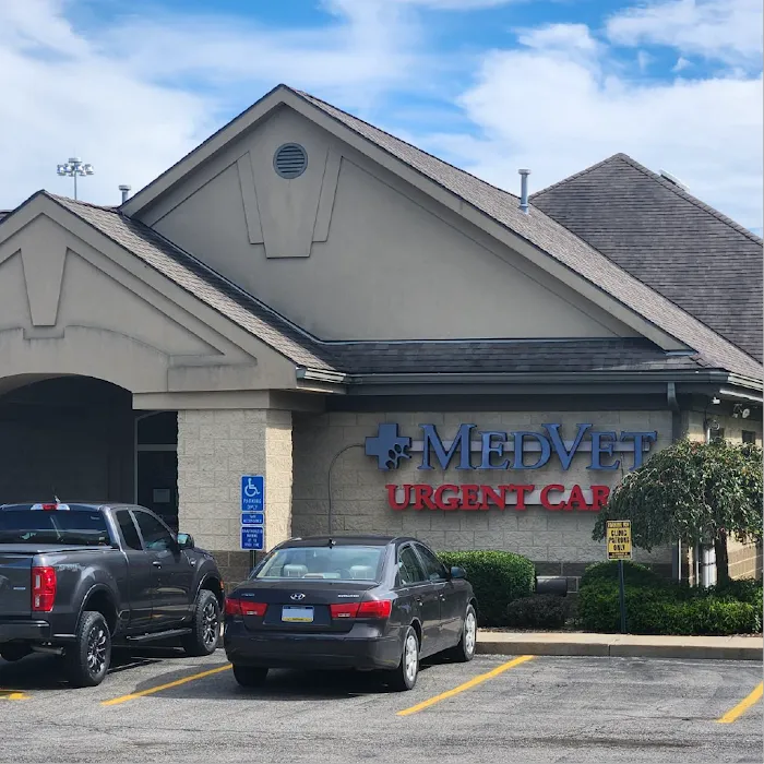 MedVet Urgent Care - Girard 10