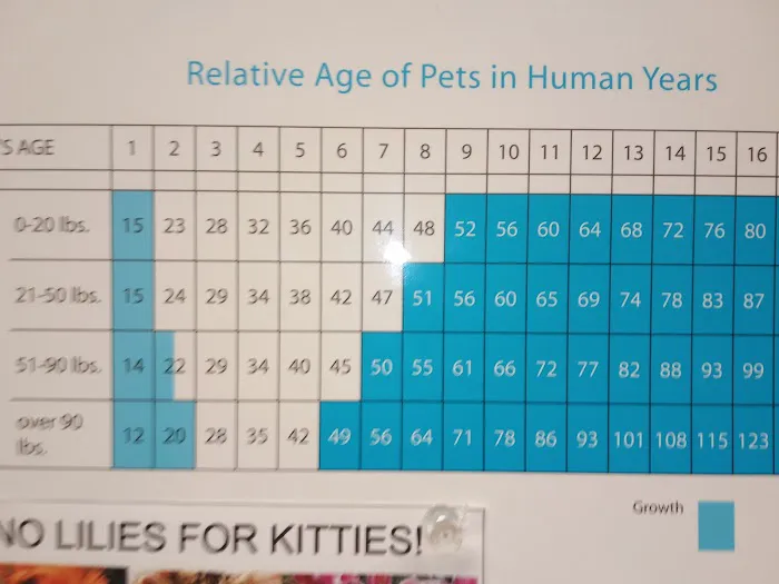 Belmont Veterinary Clinic 4