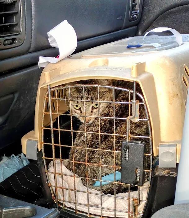 Steel Valley Spay Neuter Clinic 7