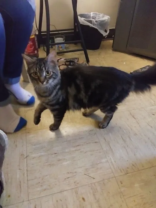 Steel Valley Spay Neuter Clinic 3