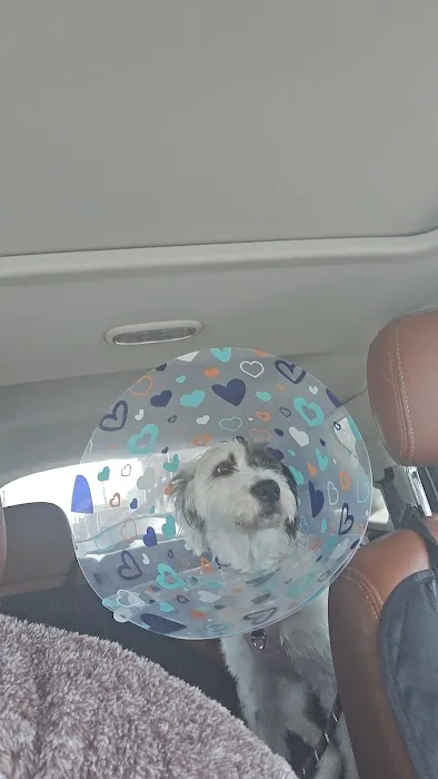Steel Valley Spay Neuter Clinic 9