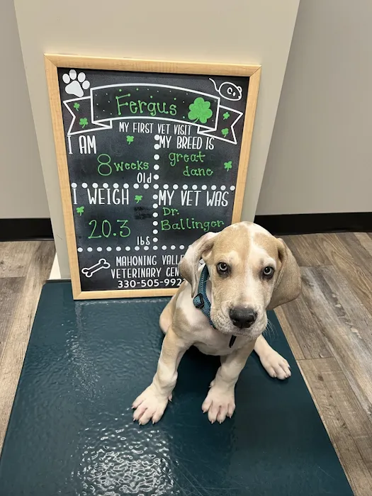 Mahoning Valley Veterinary Centre 10