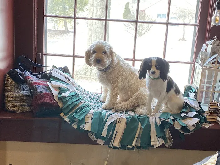 Mahoning Valley Veterinary Centre 1