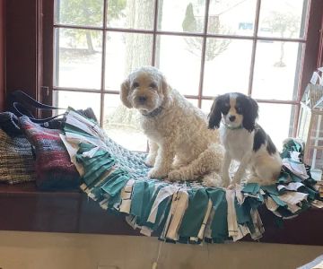 Mahoning Valley Veterinary Centre