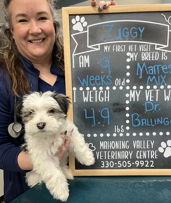 Mahoning Valley Veterinary Centre 7