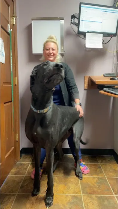 Mahoning Valley Veterinary Centre 6