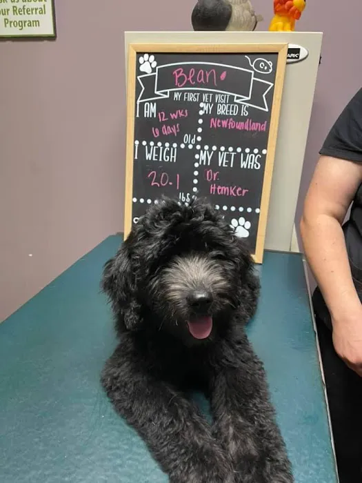 Mahoning Valley Veterinary Centre 5