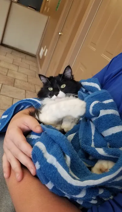 Ellwood Animal Hospital: Cindy Maro DVM CVA CAC VMRT 1