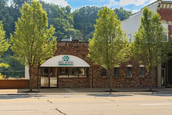Big Rock Veterinary Hospital 3