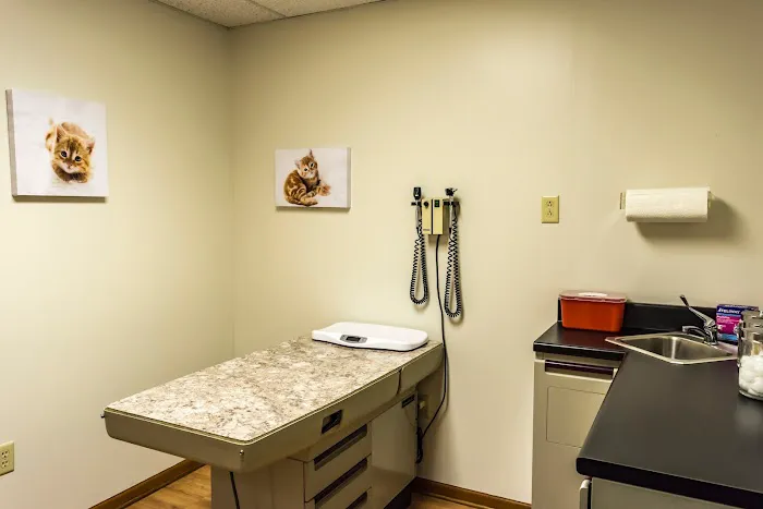 Big Rock Veterinary Hospital 9